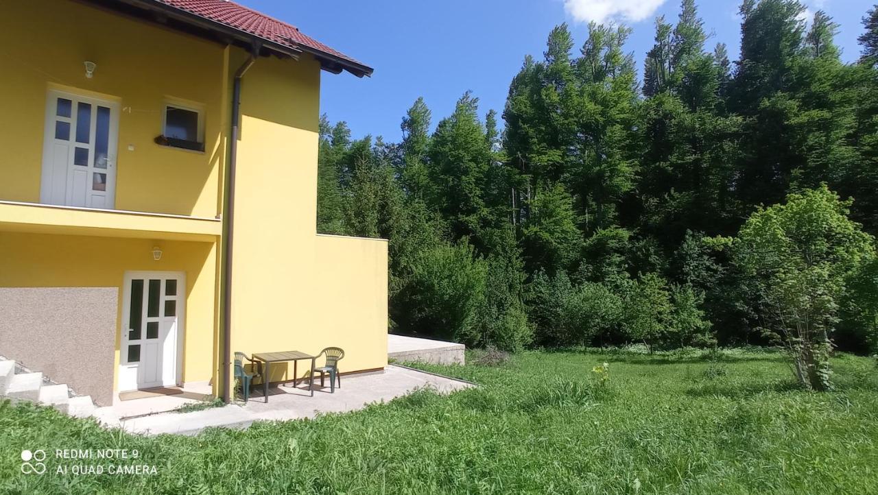 Mirela