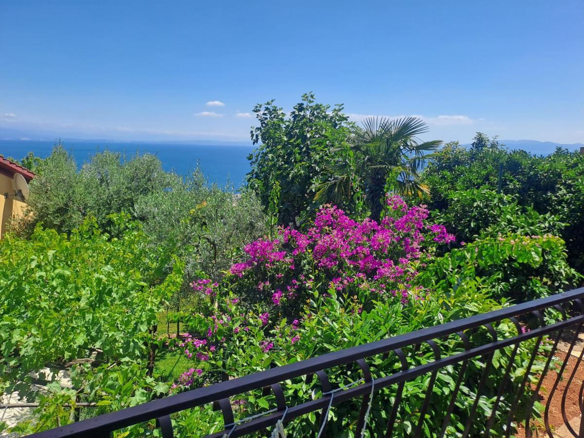 Camelia * Opatija