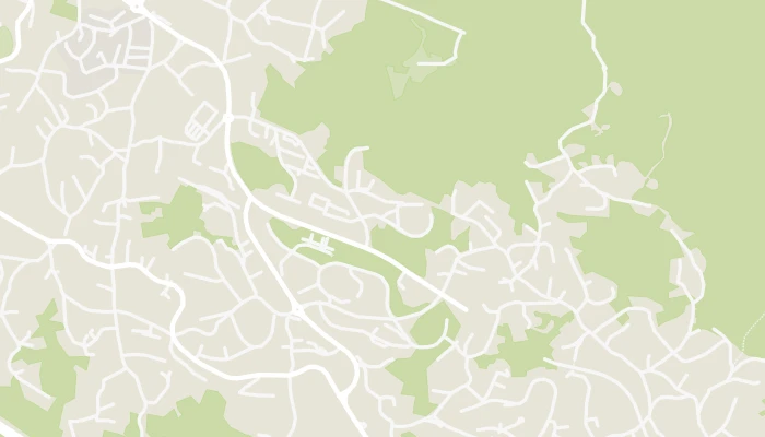 Térkép
