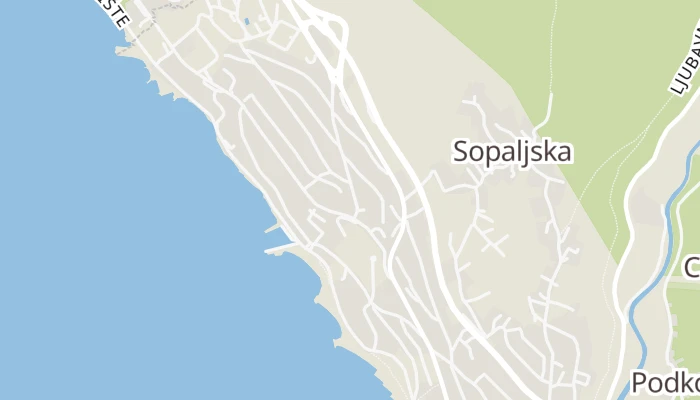 Térkép